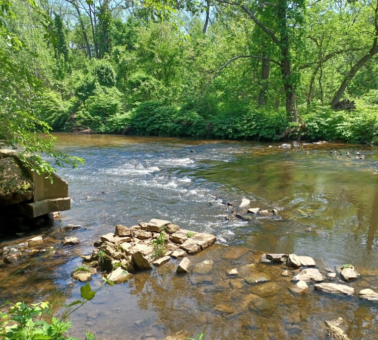 pennypack-park-photo